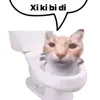 vbao69