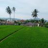 mulyanaahmad1878