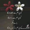 user3074241618612