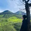alfinsaputraaaaaa