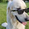 siggethegolden