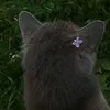 k._.7tw
