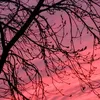 amina_bouabid