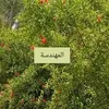amalqsav104