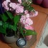 cancer0782i