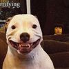 oddly terrifying images