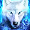 user6813881981053