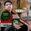alsyd_____f161