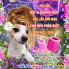 nlamm_12671