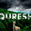 qureshi56251
