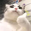 vinhanhnguyen28