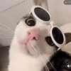 _vuhuyen._