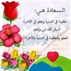 userp3lp7wmlhe