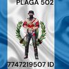 davi403381
