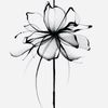 flowerssss23289