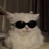 coolcatzensei