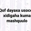 ladanabdi56