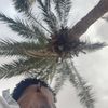 shkhahmet