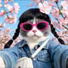 dollarcat1994