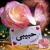 user617234616255