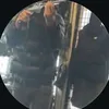 p2sav_
