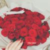 𝐀𝐂𝐂𝐎𝐔𝐍𝐓𝐈𝐍𝐆𝐓𝐎𝐓𝐀♥️