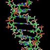 thecentraldogmaofbiology