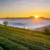 minh.pleiku