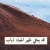 user49519178150702