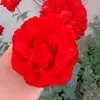 g___.1260