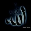 donit_durajj16