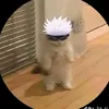nicshistorillo