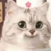 marvonovo_cats
