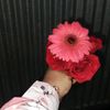 user2162492184019