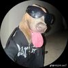 josh83741