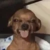 g.ufff