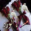 alimansour9930