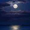 watching.the.moon7