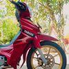 apap277