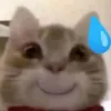 goitoilahuynhf