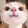 zahraaaaa23333333333