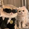 kanamecat