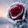userm5t8u38lwk