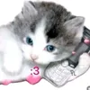 rusya_youu