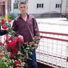 alaaddin796