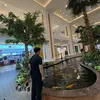 beancasiohanoi