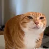 emberloop