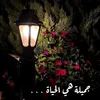 q3_5de