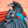 518crows