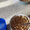 crumpats